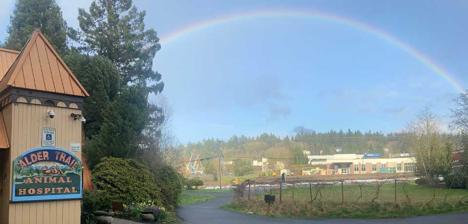 bremerton vet